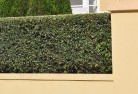 Shannons Flathard-landscaping-surfaces-8.jpg; ?>